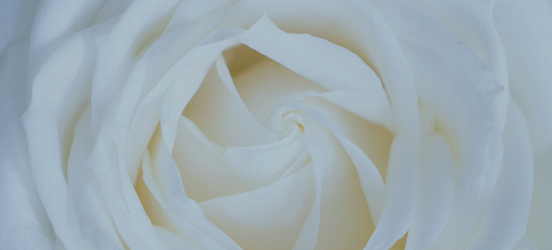 Maison Wilhelm, pompes funèbres, créateur floral, marbrerie funéraire